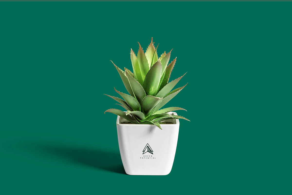 Green Potential -logo placement 1