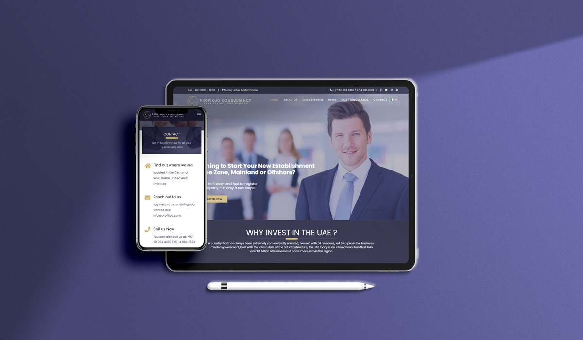 Profikuo Consultancy -Website 1