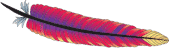 Apache